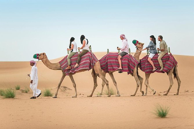 Morning Desert Safari Dubai With Dune Bashing and Sand Boarding - Key Points