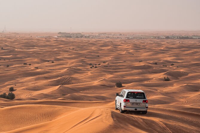 Morning Desert Safari With Dune Bashing, Camel Ride, Sand Boarding - Key Points