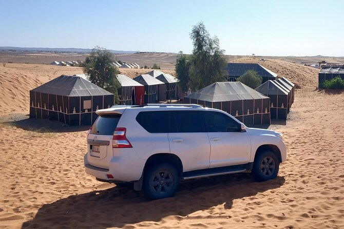 Morocco White Camel Tours & Sahara Activities - Key Points