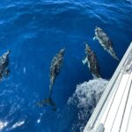 morro jable sailing boat excursion with food and drinks Morro Jable: Sailing Boat Excursion With Food and Drinks