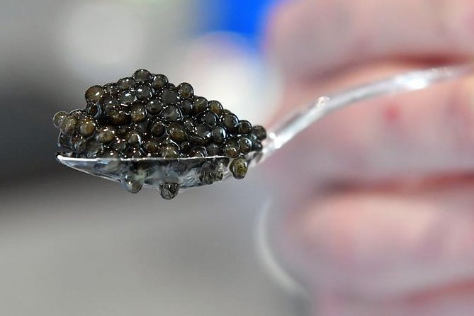 Mouth Water Caviar - Luxurious Origins of Caviar