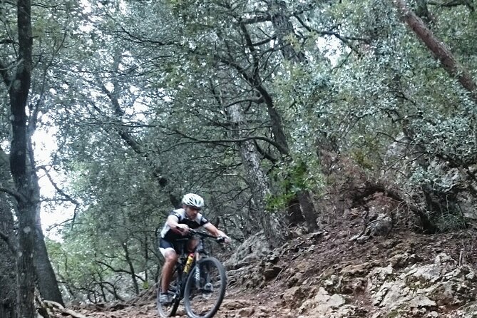 MTB Guided Tour in Bellver Forest and Na Burguesa Mountain - Key Points