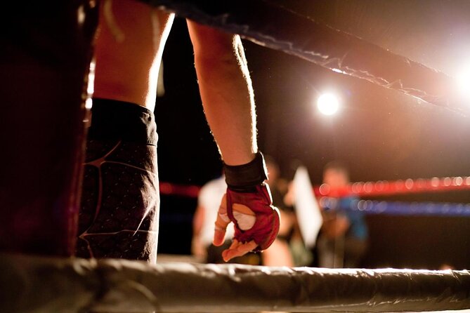 Muay Thai (Thai Boxing) Lesson With Private Transfer From Bangkok - Key Points