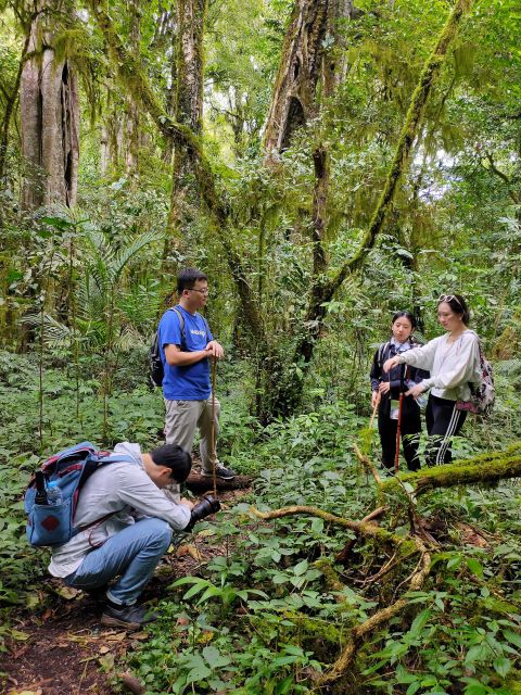 Munduk : Jungle Trekking,Canoeing & Balinese Cooking Class - Key Points