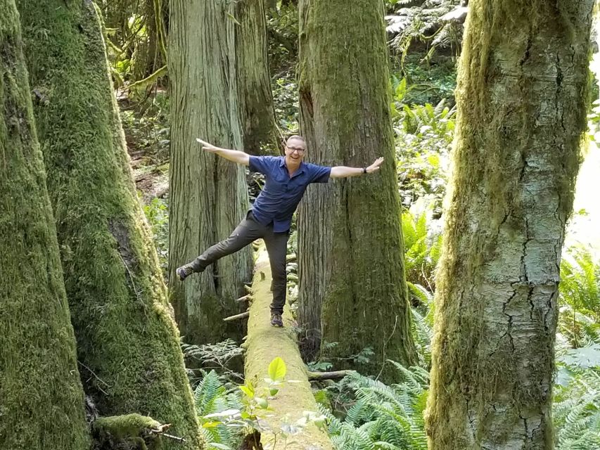 Mystical Rainforest Tour - Forest Magick - Key Points
