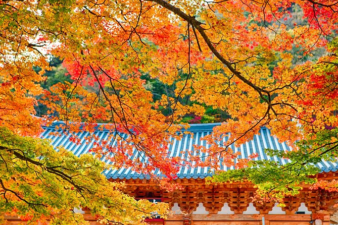 Naejangsan National Park Autumn Foliage Tour From Busan - Key Points