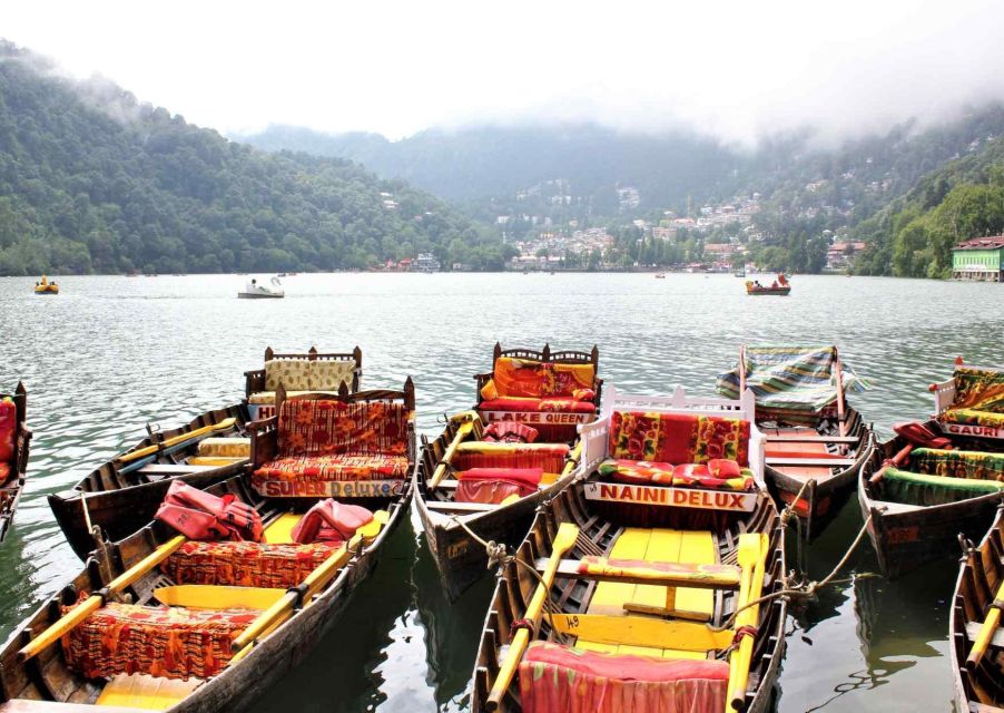 Nainital Nature Trekking Experience (4 Hours Experience) - Key Points