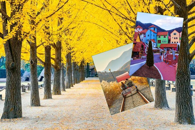 Nami Island & Petite France & Italian Village & Gangchon Rail Bike One-Day Tour - Key Points