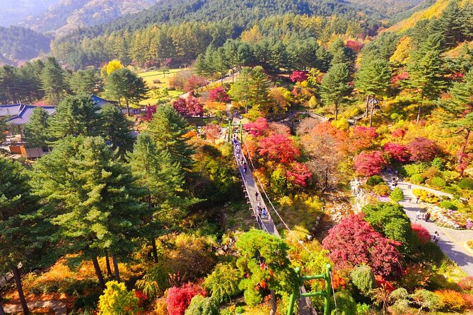 Nami Island, Petite France, Rail Bike Tour From Seoul (Mar ) - Key Points