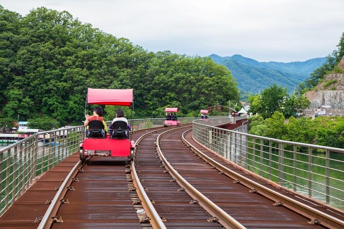 Nami Island & Strawberry Picking and Jam Making & Railbike - Key Points