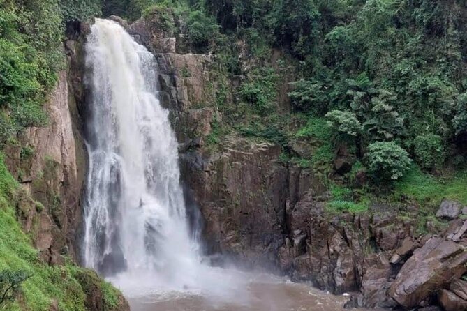 Natural Park Khao Yai With Mr Nong - Tour Overview