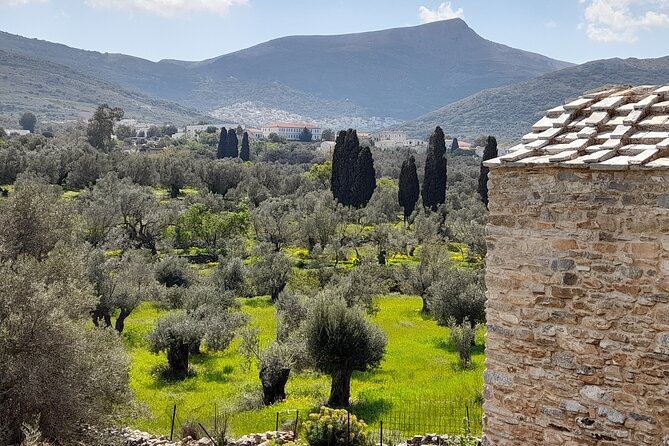 Naxos: Countryside Hike Among Villages & Byzantine Churches - Key Points
