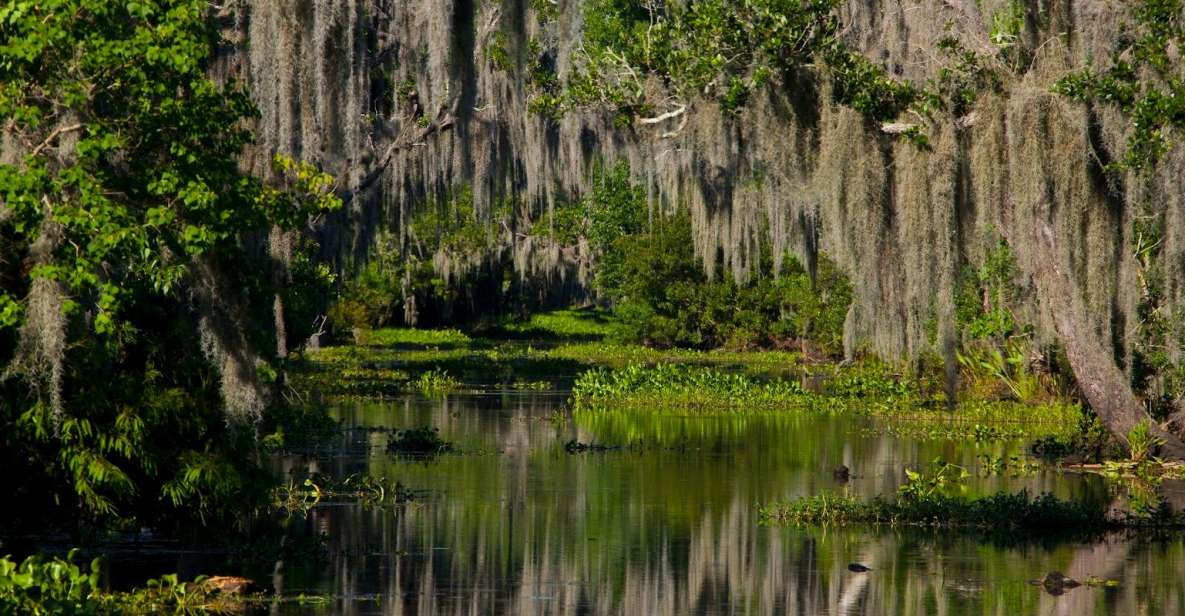 New Orleans: High Speed 16 Passenger Airboat Ride - Key Points