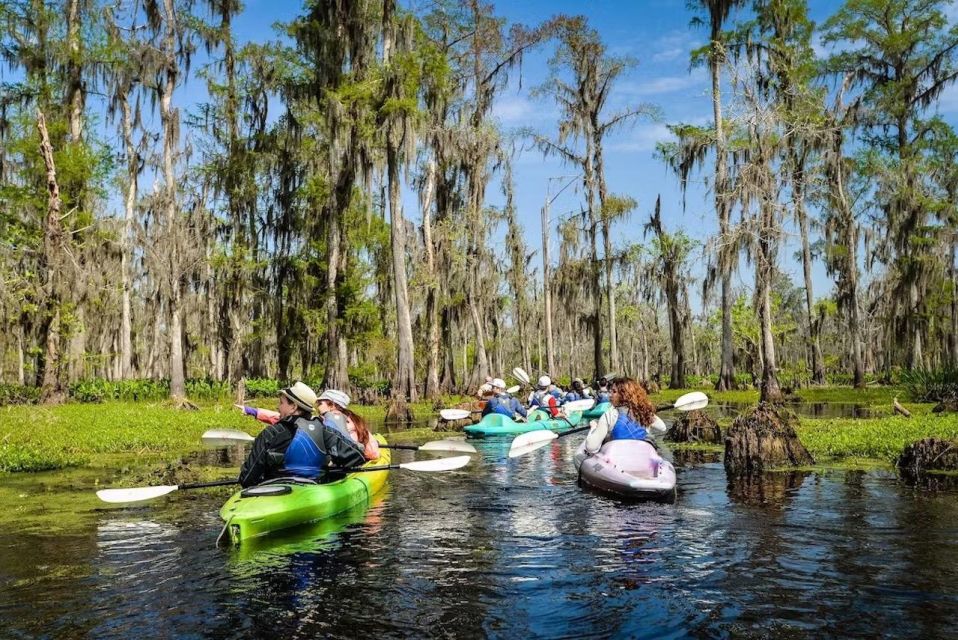 New Orleans: Manchac Magic Kayak Swamp Tour - Key Points