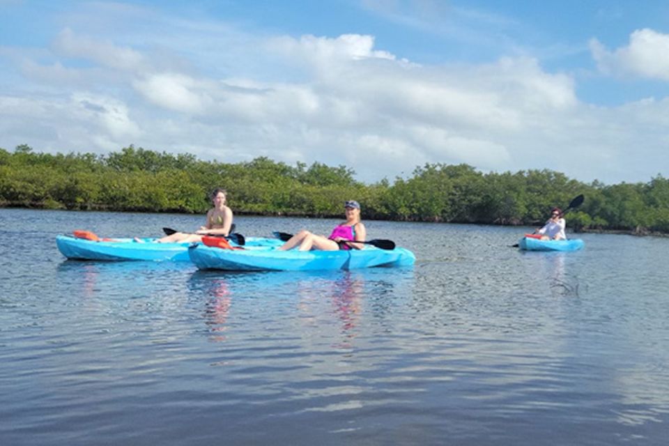New Smyrna: Half-Day Guided SUP or Kayak Waterways Tour - Key Points