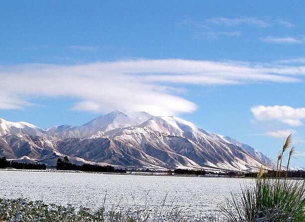 New Zealand Farm & Scenic Day Tour From Christchurch - Key Points