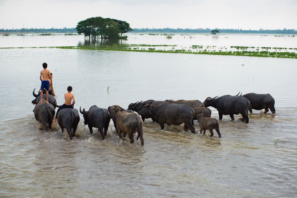 Nha Rong Port: Private Mekong Delta Tour - Key Points