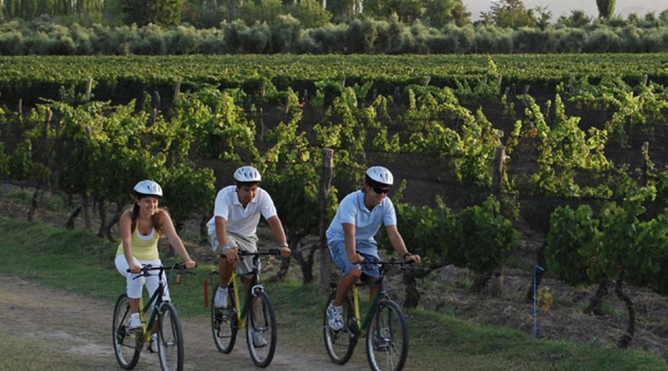Niagara-On-The-Lake: Bicycle Tour With Wine Tasting - Key Points