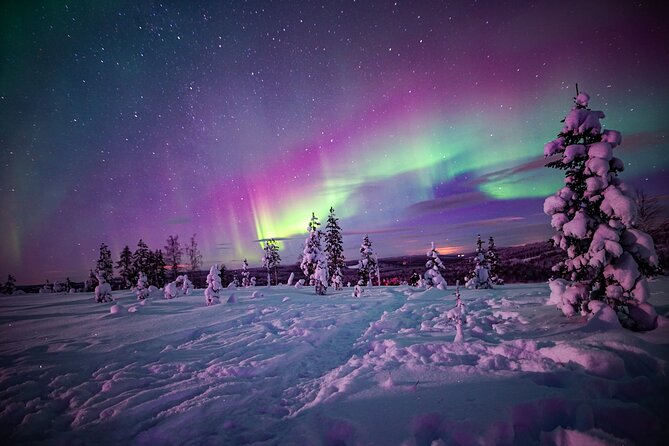Night Snowshoeing Adventure Under the Northern Lights - Experience the Magical Northern Lights