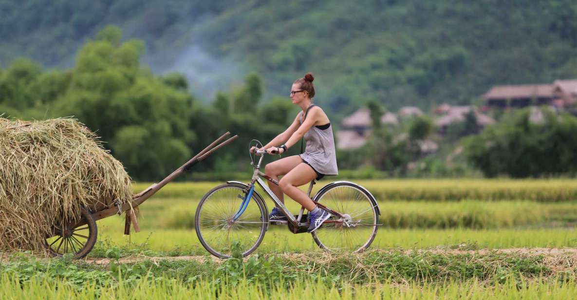 Ninh Binh Small Group From Hanoi: Boat, Bike & Daily Life - Key Points