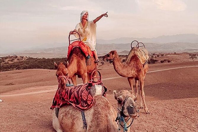 Nomad Trip With Transportation : Marrakech Desert Activities