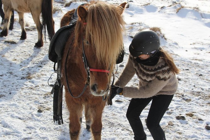 North Iceland: Horseback Riding Tour  - Akureyri - Key Points