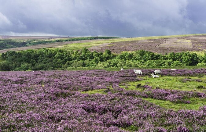 North York Moors Tour App, Hidden Gems Game and Big Britain Quiz (7 Day Pass) UK - Key Points