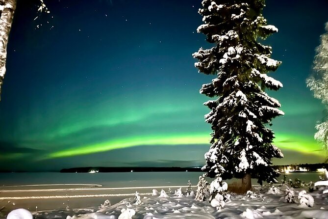 Northern Lights Activity Snowmobile Driving - Experience the Thrill of Snowmobiling