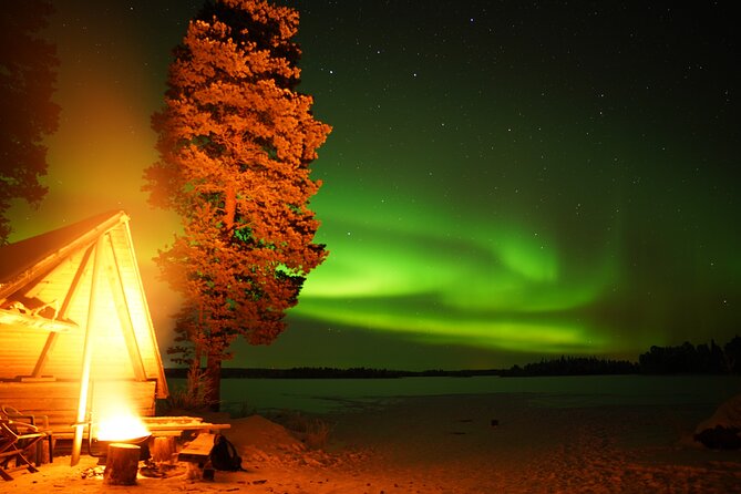 Northern Lights and Barbecue Experience From Rovaniemi - Experience Highlights