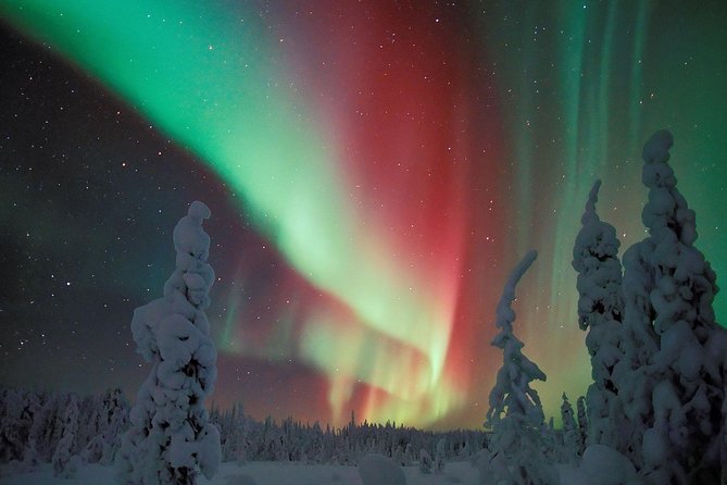 Northern Lights Hunt From Rovaniemi With Folk Tales and Snacks Over Campfire - Tour Description