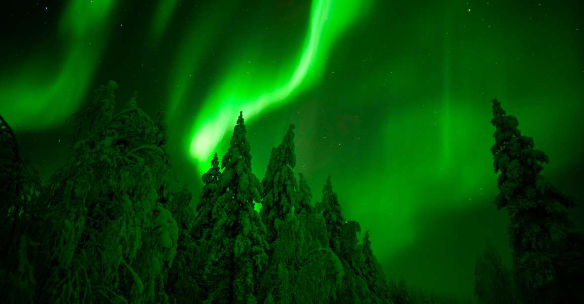 Northern Lights Hunting Adventure in Lapland - Key Points