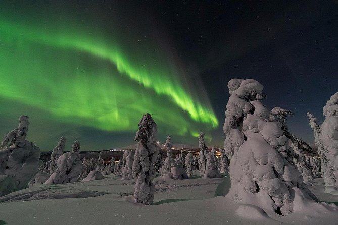 Northern Lights Hunting by Minibus - Key Points