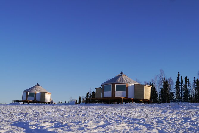 Northern Lights Lodge Viewing in Fairbanks - Key Points