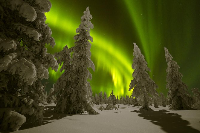 Northern Lights Picnic by Car From Rovaniemi - Key Points