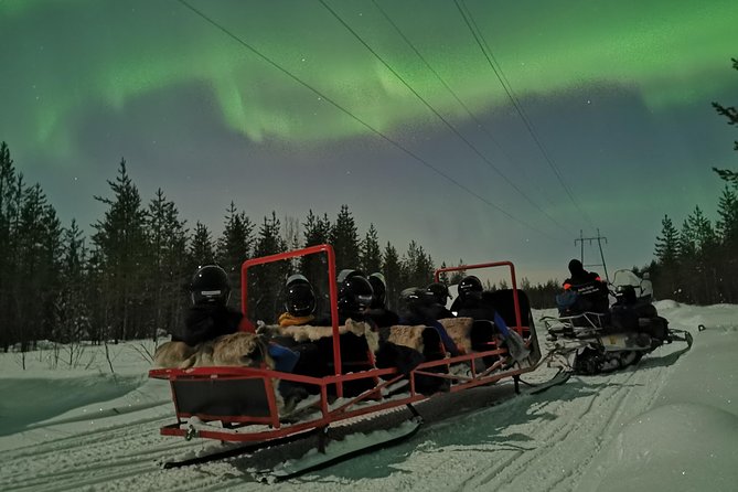 Northern Lights Sledge Ride - Experience Details