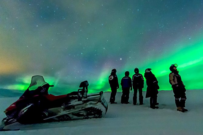 Northern Lights Snowmobile Safari From Rovaniemi With Campfire Picnic - Tour Highlights
