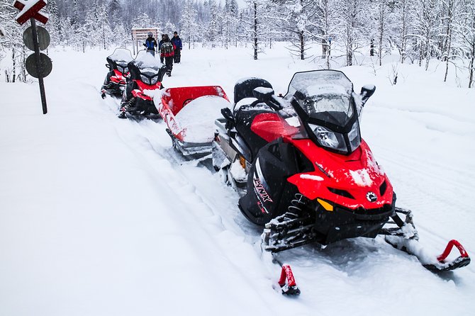 Northern Lights Snowmobile Sleigh Ride From Kemi - Tornio - Key Points