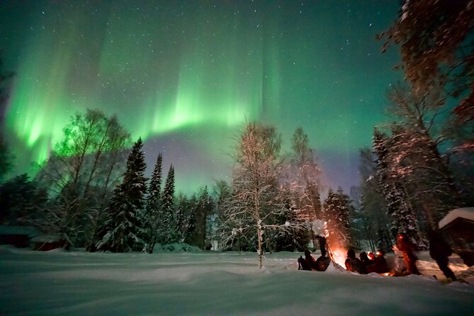 Northern Lights Tour in Atmospheric Cottage - Tour Highlights