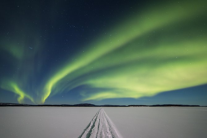 Northern Lights Tour to Lake Inari From Ivalo, Reindeers & Dinner - Tour Details