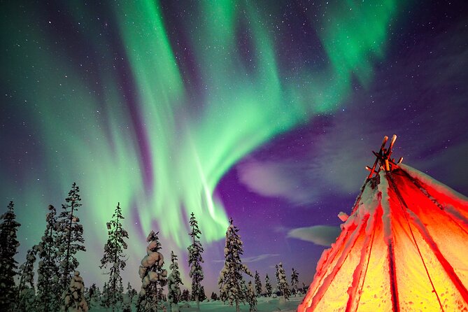 Northern Lights Wilderness Small-Group Tour From Rovaniemi - Tour Highlights
