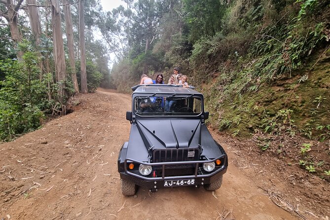 Northwest Madeira Full-Day 4WD Tour From Funchal - Customer Reviews and Ratings