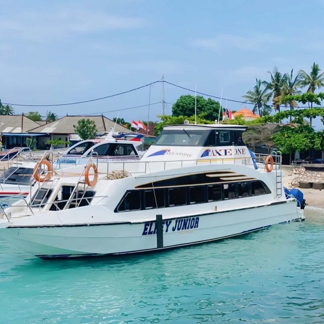 Nusa Penida: One-Way Speedboat Transfer To/From Sanur - Key Points