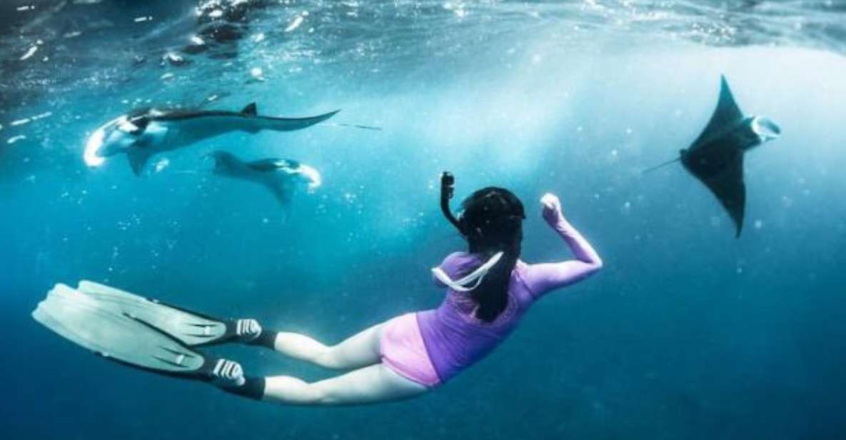 Nusa Penida: Snorkeling 3 Spots With Manta Options - Key Points