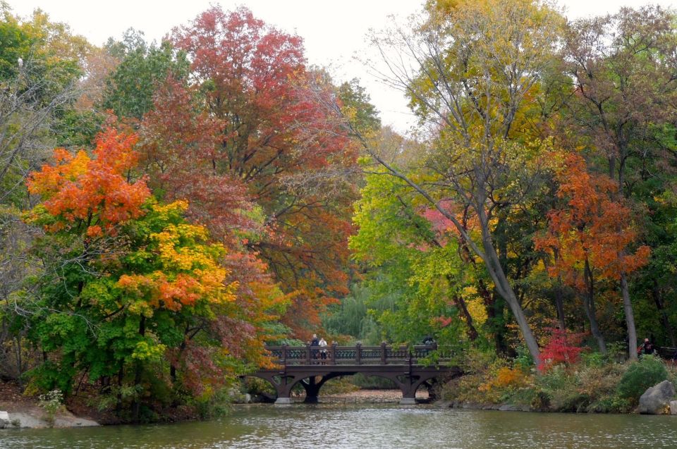 NYC: Central Park Hidden Gems Walking Tour - Key Points