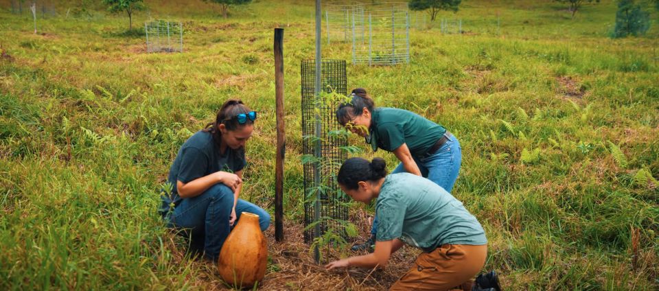 Oahu: Kualoa Ranch Malama Sustainability and Gardening Tour - Key Points