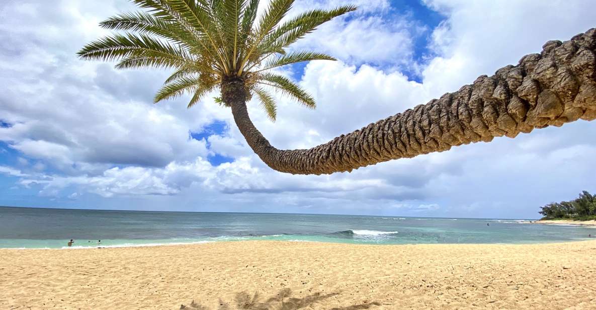 Oahu: North Shore Experience and Dole Plantation - Key Points