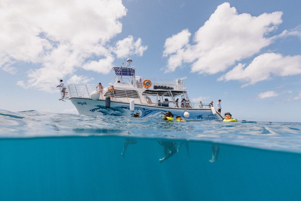 Oahu: Turtle Canyon Snorkeling & Hula Dance - Key Points