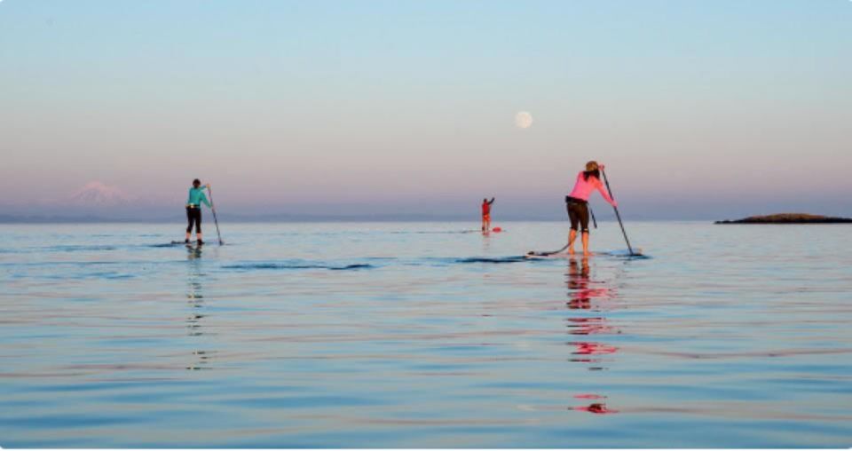 Oak Bay: Full Moon Paddle Experience - Key Points