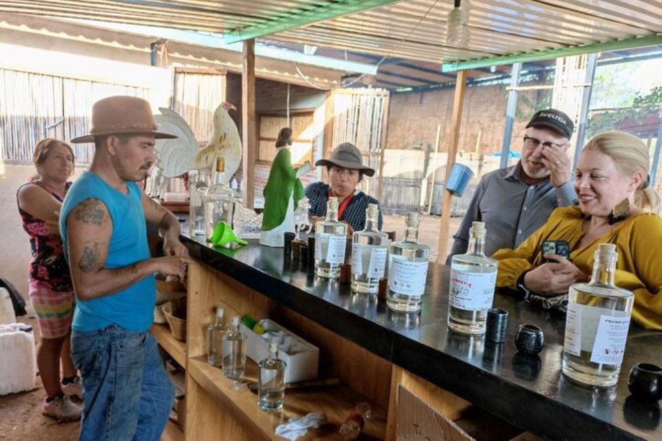 Oaxaca: Ancestral Mezcal Tasting in Ocotlan Valley - Key Points
