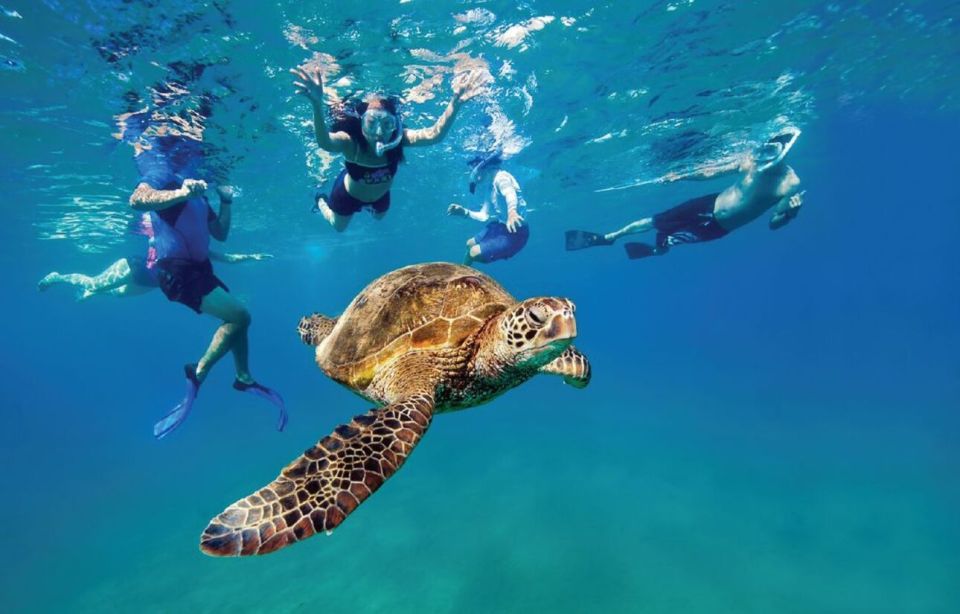 Ocean Reef Snorkeling and Paddleboarding - Key Points